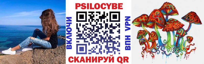 Псилоцибиновые грибы мицелий  Иннополис 